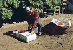 Sprid ut jordförbättringsmedel som torvmull och grov sand i ett jämntjockt lager samtidigt med grundgödseln.