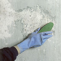 Använd en lösning av en del klorin och två delar vatten. Tvätta noga tak och väggar