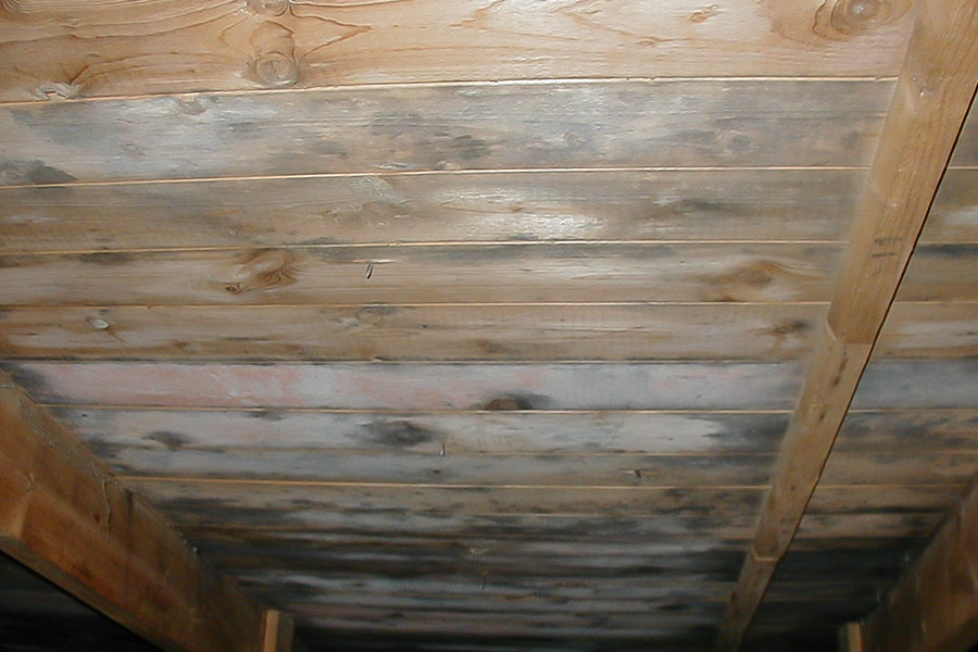 Yttertak med fuktskada i vindsutrymme och blånadssvamp på innertak.
