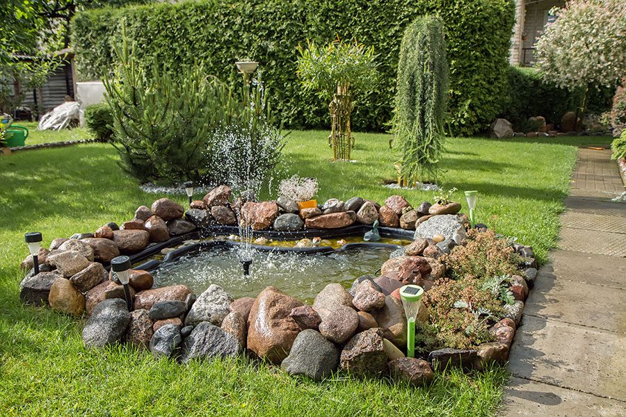 Damm med fontän i trädgård