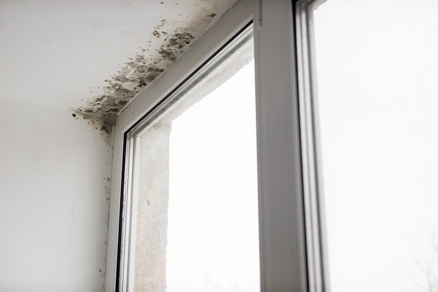 Fuktskada vid fönsterkarm och fönstersmyg