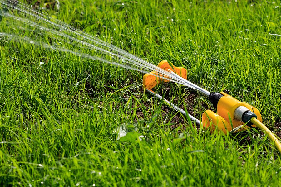 Vattenspridare på gräsmatta